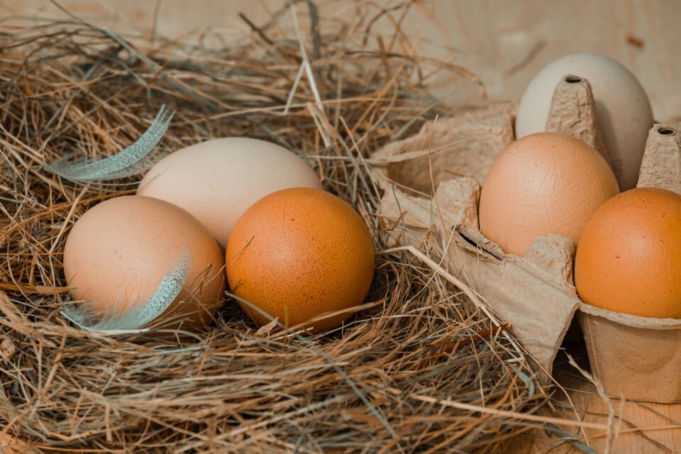 Mangiare Uova Fa Bene O Male Al Colesterolo La Risposta