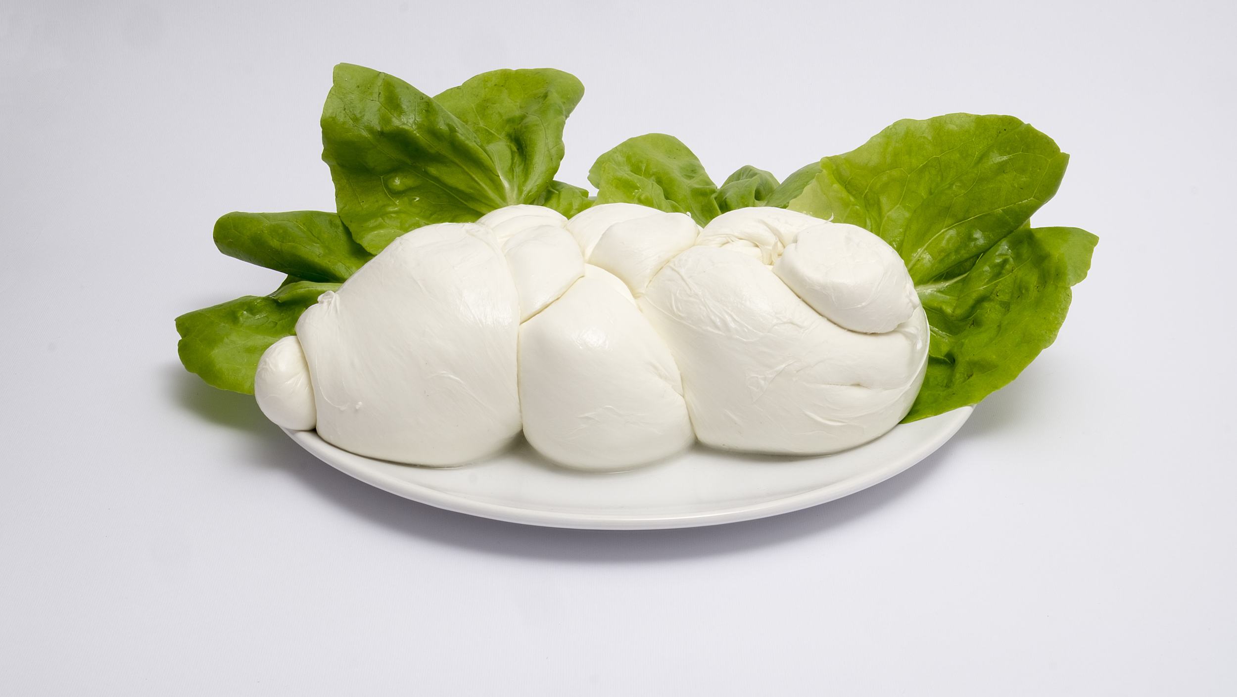 Mozzarella di bufala in gravidanza: si può mangiare?