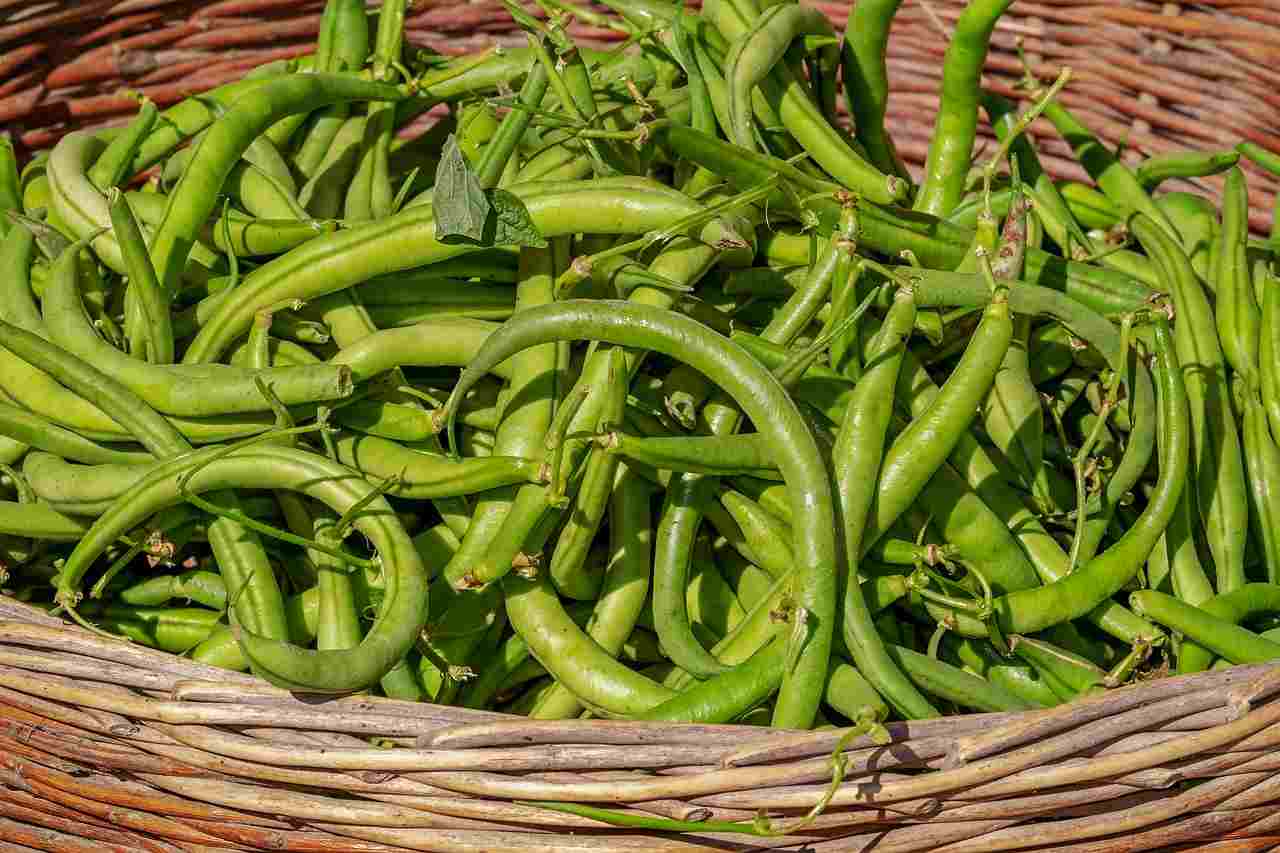 What Beans To Eat With High Blood Pressure Incredible breakinglatest news Breaking Latest News