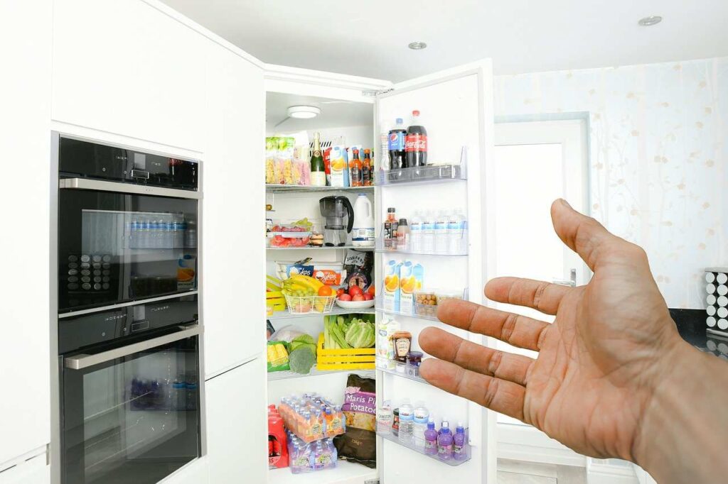 Le calamite attaccate al frigorifero provocano malattie? Incredibile