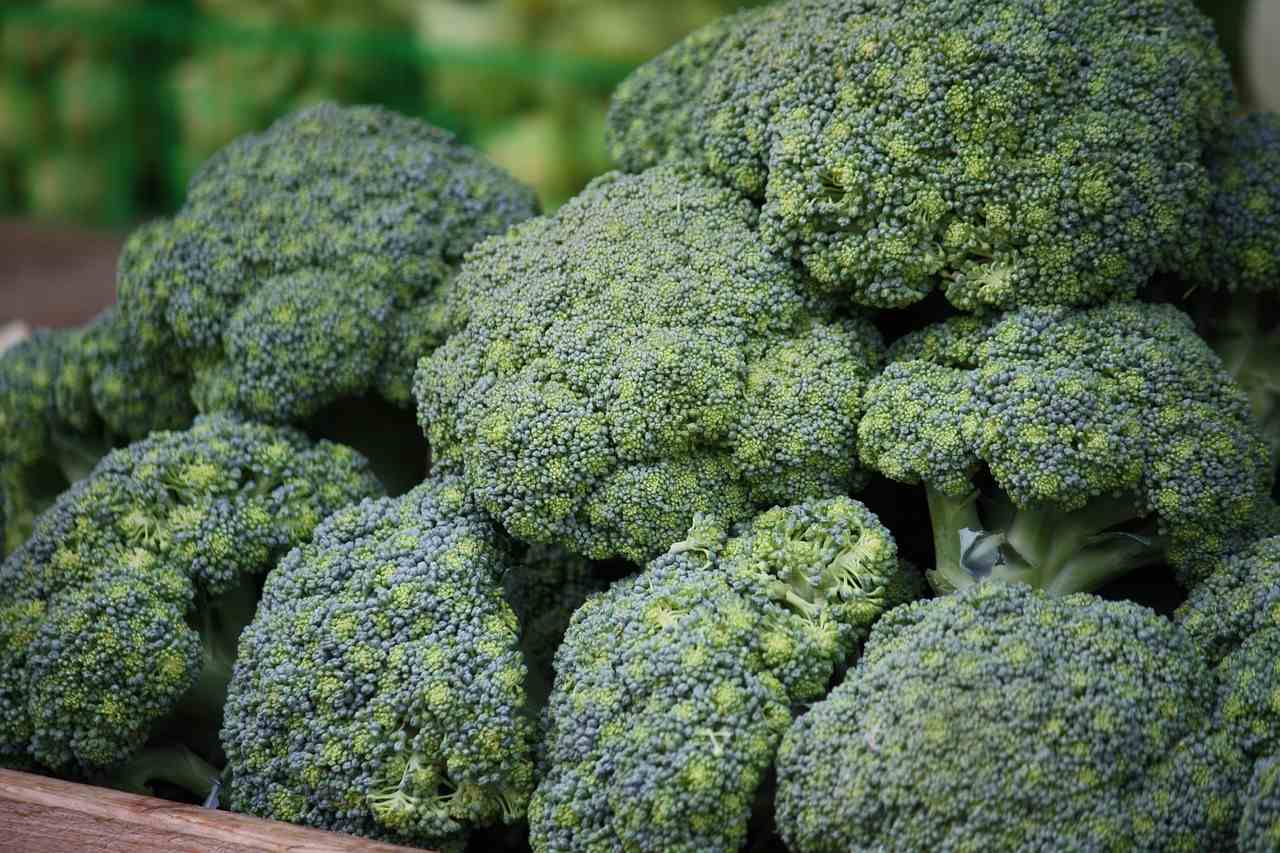 broccoli