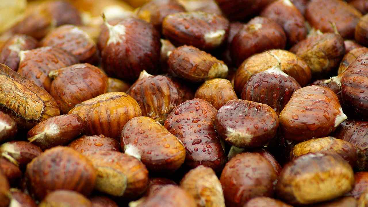 Castagne: benefici ricette e consigli