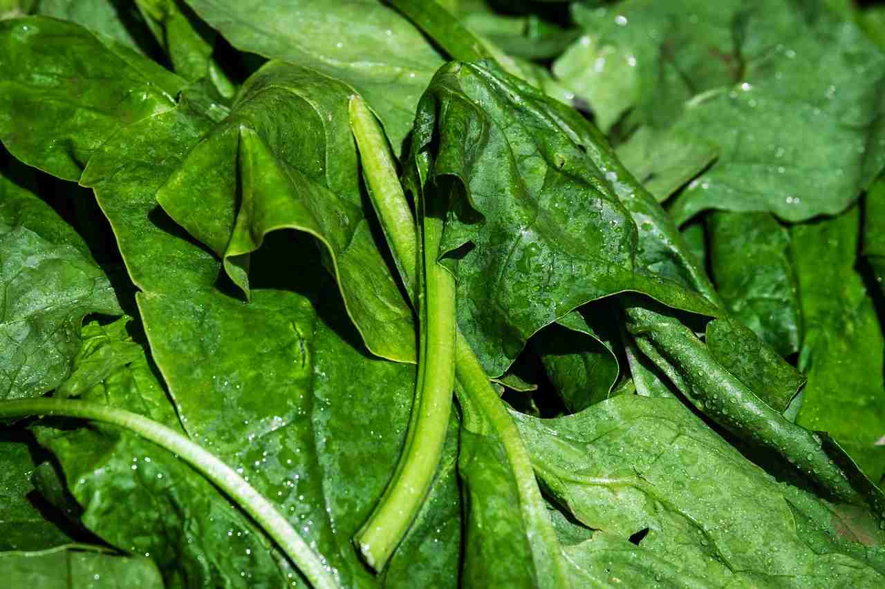 quando mangiare gli spinaci per abbassare la glicemia