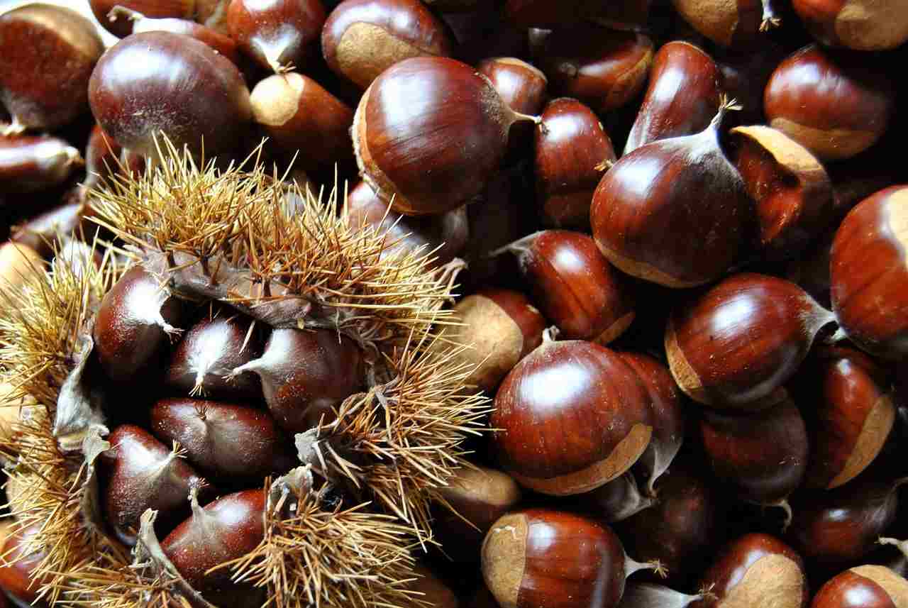 castagne