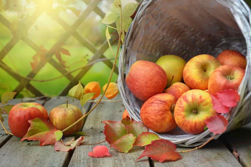 I 10 comuni italiani dove si producono le mele più buone