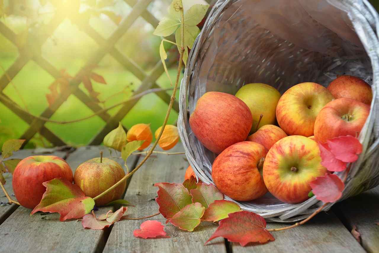 I 10 comuni italiani dove si producono le mele più buone