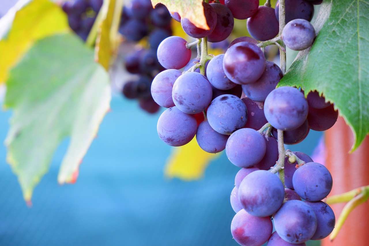 Ora solare e alimentazione