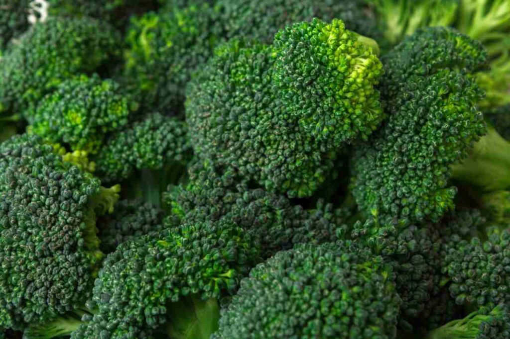 Come conservare i broccoli in frigorifero: i trucchetti da conoscere