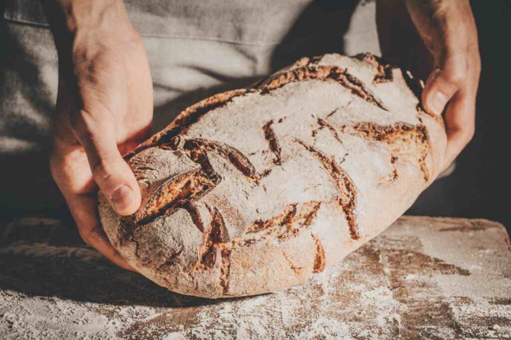Mangiare la crosta del pane fa diventare più intelligenti?