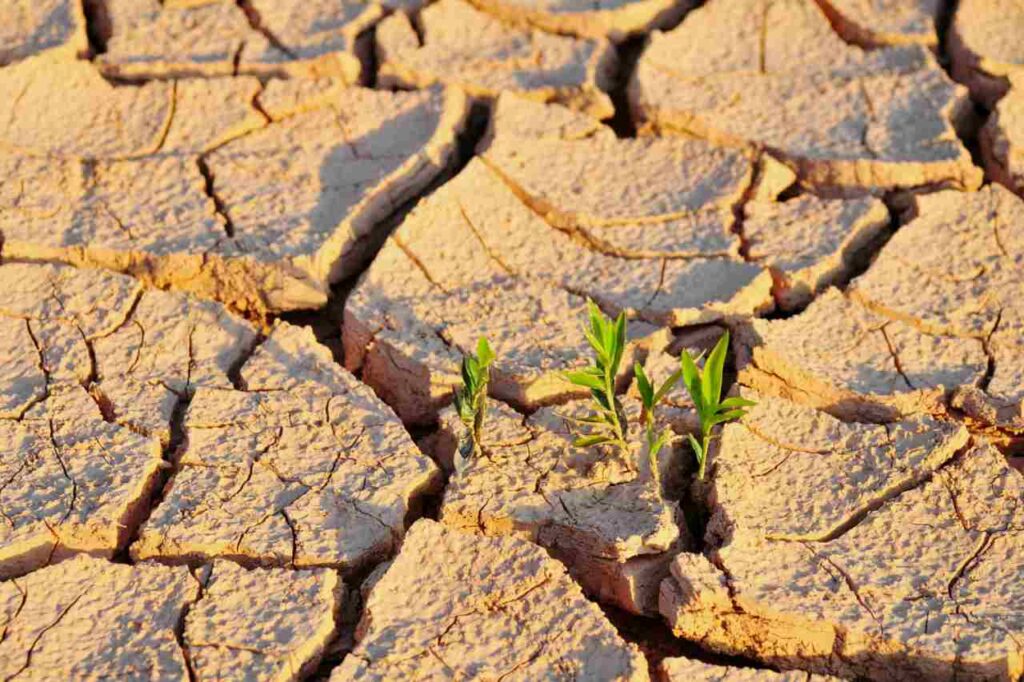Un miliardo e 600 milioni per combattere la siccità in Sicilia